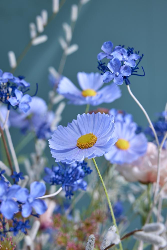 FLEUR DE PRINTEMPS