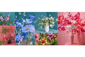 Magento 2 Blog Post Sample