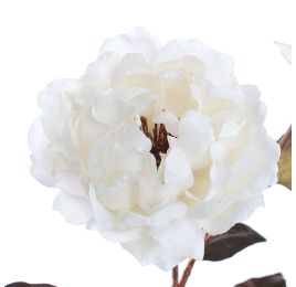 PEONY SPRAY 80CM ROSE CREAM
