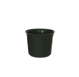 0505013 DKGR.jpg