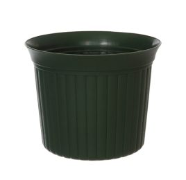 0505015 DKGR.jpg