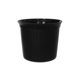 0505019 BL.jpg