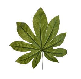 LARGE ARALIA LEAF PICK GREEN