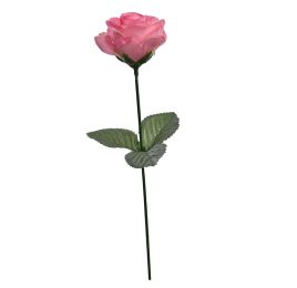 ROSE ON FS W/LVS PINK