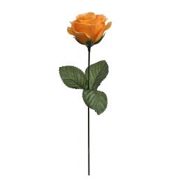 ROSE ON FS W/LVS YELLOW