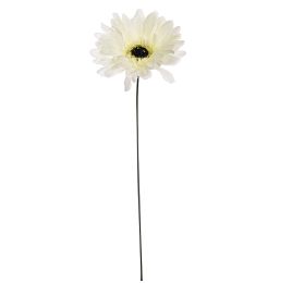 GERBERA PICK CREAM