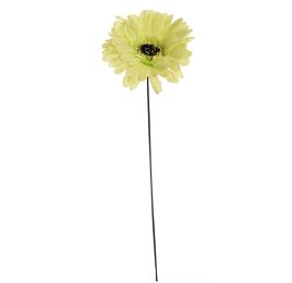 GERBERA PICK GREEN
