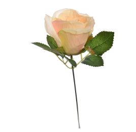 ROSEBUD PICK W/LVS SALMON