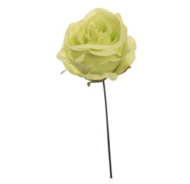 OPEN ROSE PICK GREEN