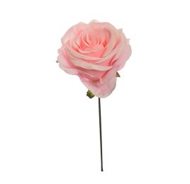 OPEN ROSE PICK PINK