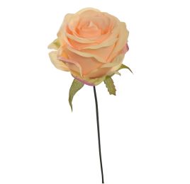 OPEN ROSE PICK SALMON