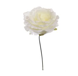 LARGE OPEN ROSE PICK CREAM