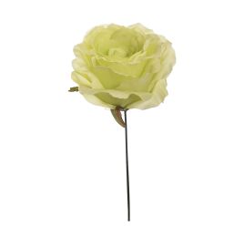 LARGE OPEN ROSE PICK GREEN