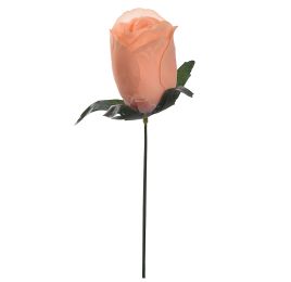 ROSEBUD PICK SALMON