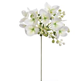 HYDRANGEA BERRY PICK 30CM CREAM