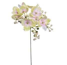 HYDRANGEA BERRY PICK 30CM GREEN