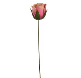 SMALL ROSEBUD 22CM BEAUTY