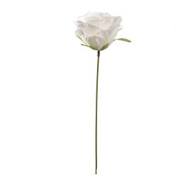 ROSE 22CM CREAM