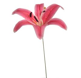 LILY HEAD K.D PACKING 50CM BEAUTY