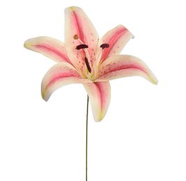 LILY HEAD K.D PACKING 20CM CREAM PINK