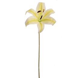 LILY HEAD K.D PACKING 20CM GREEN