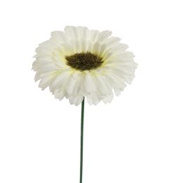 GERBERA PICK 15CM CREAM