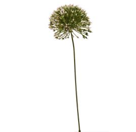 ALLIUM PICK 23CM CREAM PINK