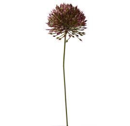ALLIUM PICK 23CM PURPLE
