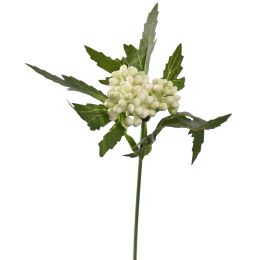 BERRY PICK 14CM CREAM