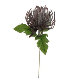 KING PROTEA PICK 20CM BURGUNDY