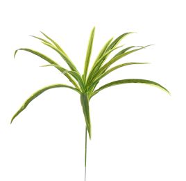 SPIDER LEAF 40CM GREEN YELLOW