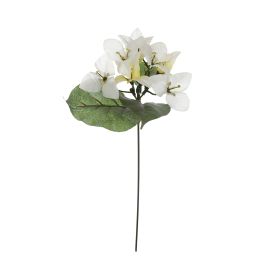 BOUGANVILLEA PICK CREAM