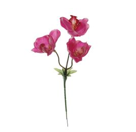 ORCHID PICK X 3 BEAUTY