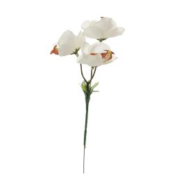 ORCHID PICK X 3 CREAM