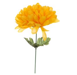 MUM PICK YELLOW