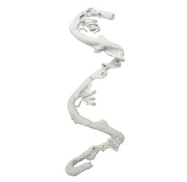 CURLED BRANCH WHITE