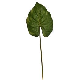 MEDIUM CALADIUM LEAF 79CM GREEN