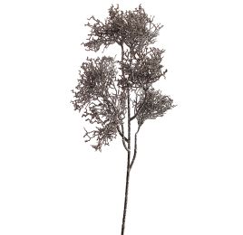 CORAL SPRAY 55CM BROWN