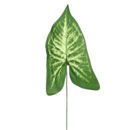 SINGLE LARGE SYNGONIUM LEAF 56CM GREEN