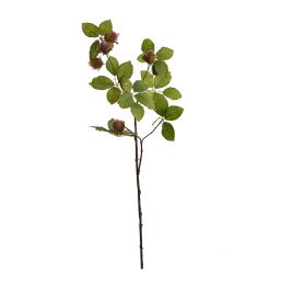 HAZELNUT SPRAY 98CM GREEN