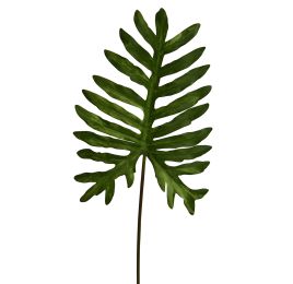 LARGE SPLIT PHILODENDRON LEAF 65CM GREEN