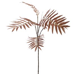 CHAMAEDOREA SPRAY X5 77CM DARK BROWN