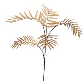 CHAMAEDOREA SPRAY X5 77CM LIGHT BROWN