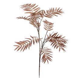CHAMAEDOREA SPRAY X10 DARK BROWN