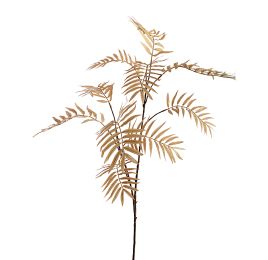 CHAMAEDOREA SPRAY X10 LIGHT BROWN