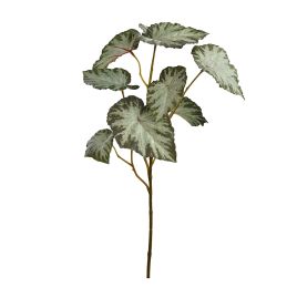 COLEUS LEAF SPRAY X 5 68CM GREEN