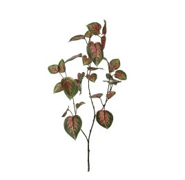 COLEUS SPRAY X 3 92CM RED GREEN