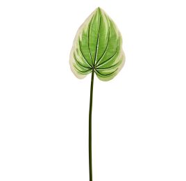 MEDIUM HOSTA LEAF 70CM CREAM GREEN