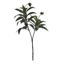 MAGNOLIA LEAVES SPRAY W/4 FRUITS 105CM GREEN