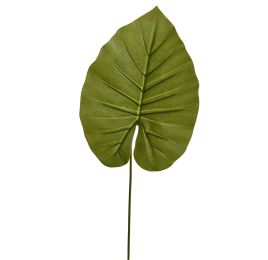 LARGE LEAF TARO LEAF 55CM